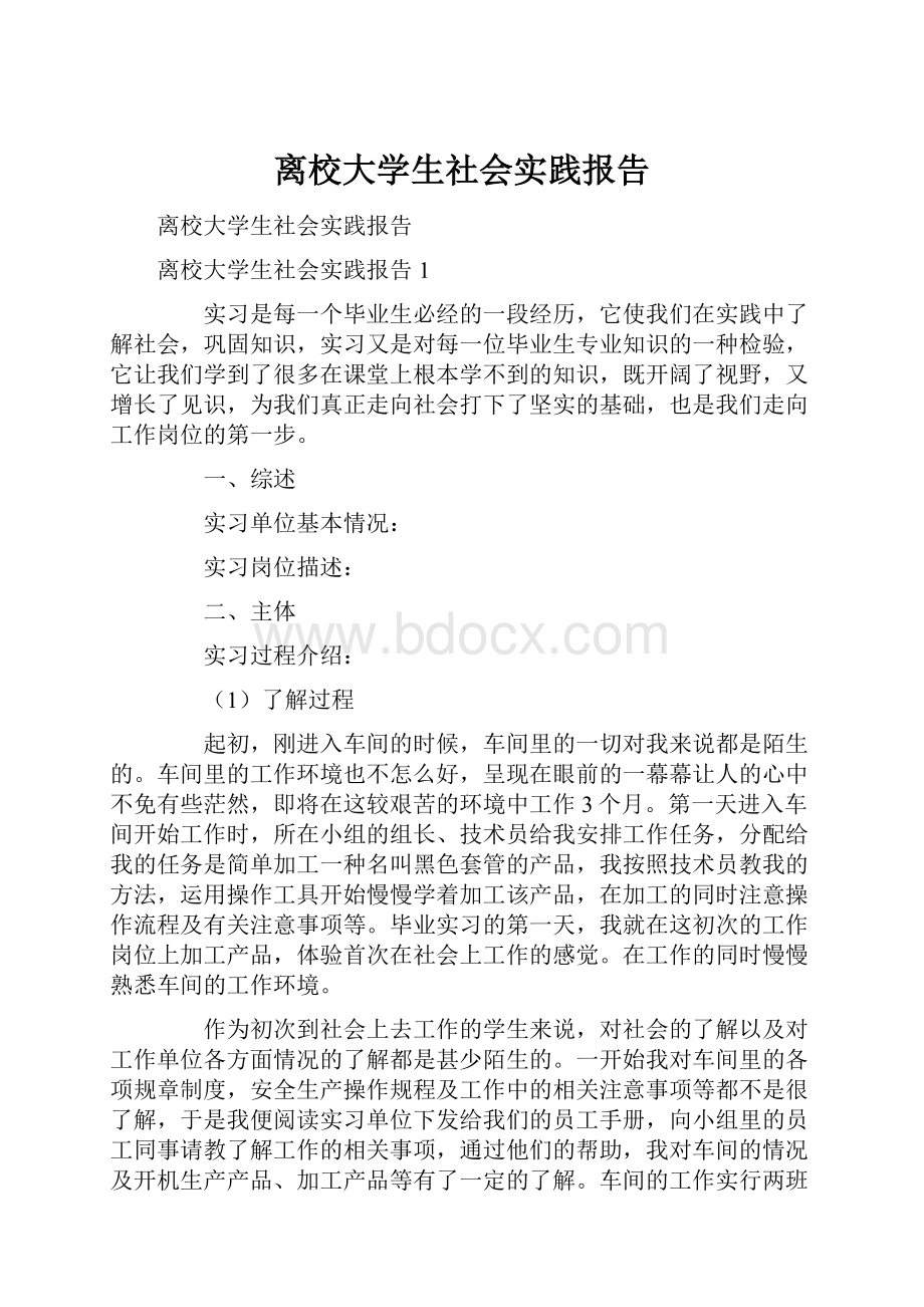 离校大学生社会实践报告.docx