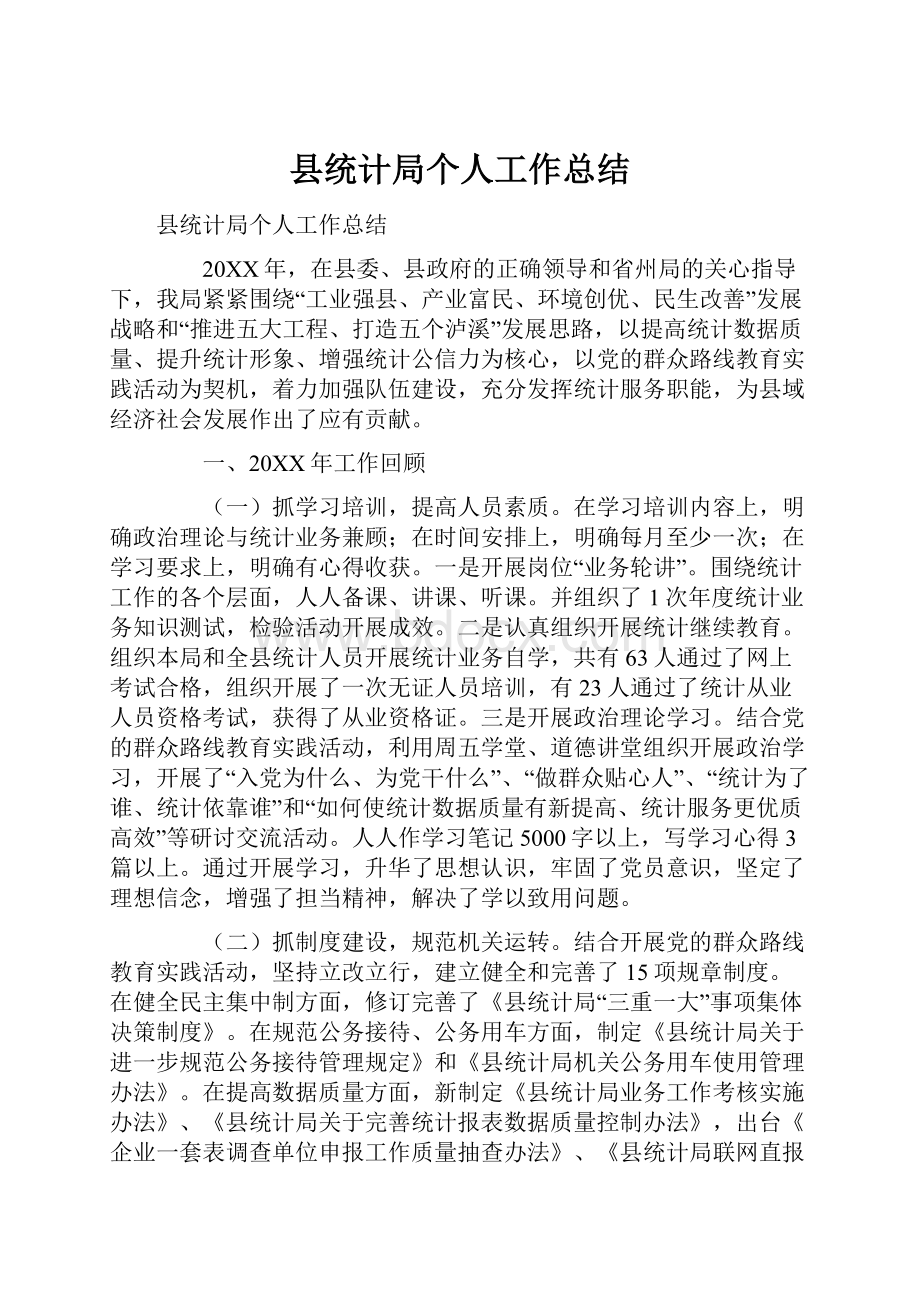 县统计局个人工作总结.docx_第1页