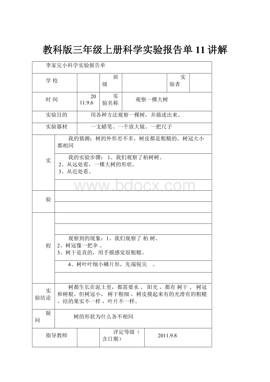 教科版三年级上册科学实验报告单11讲解.docx