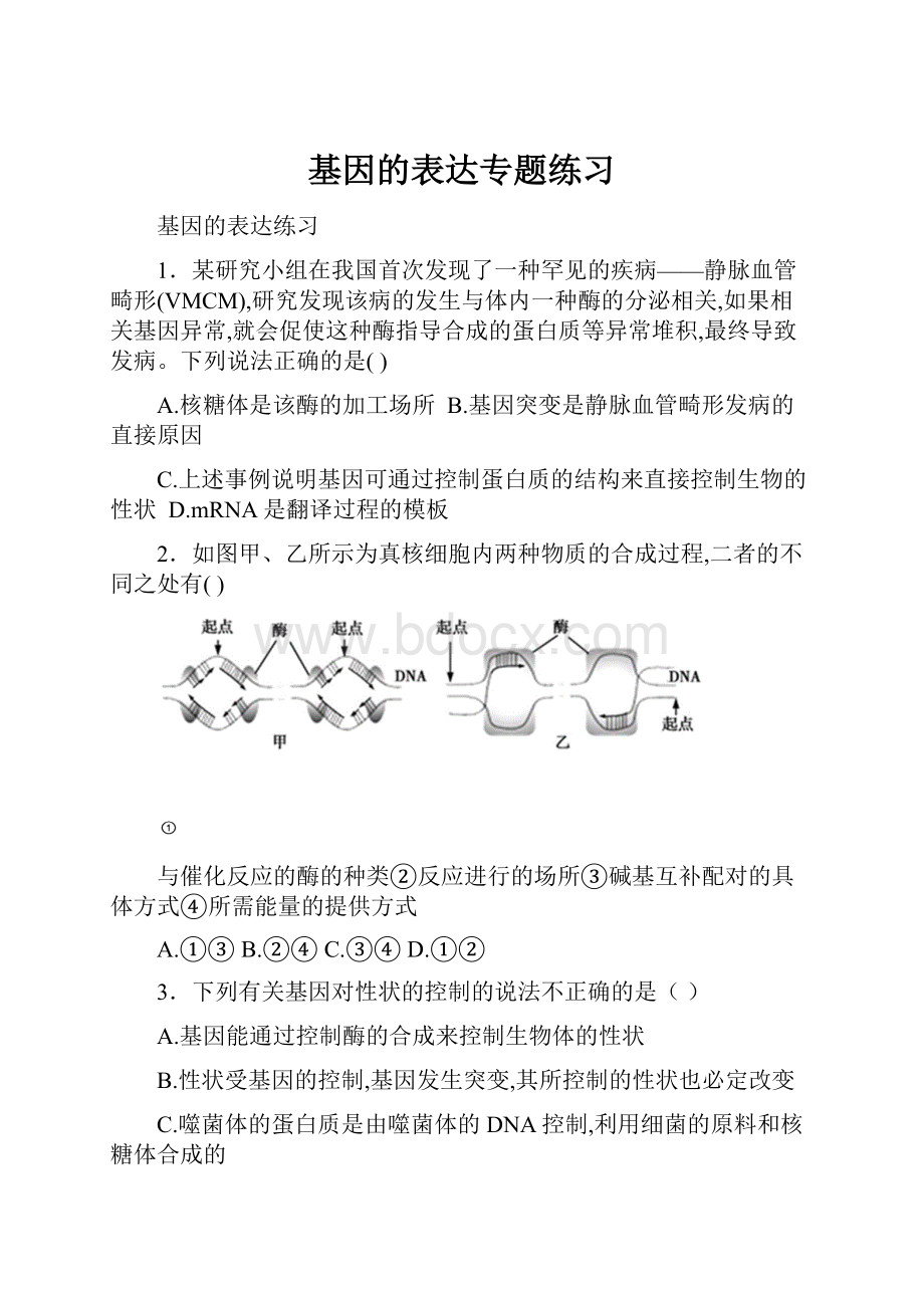 基因的表达专题练习.docx_第1页