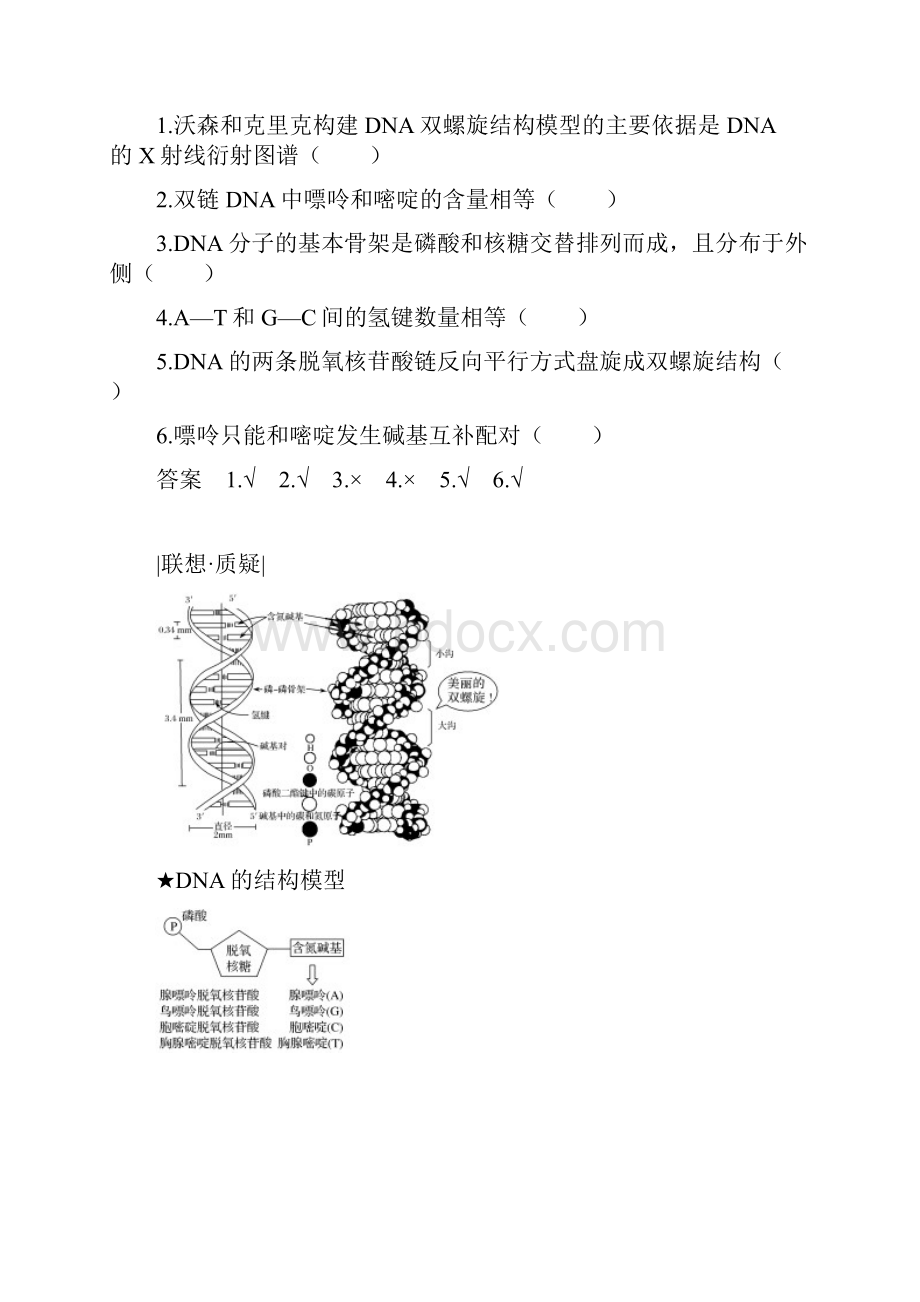 学年人教版必修2 第3章 第2节 DNA分子的结构 学案.docx_第3页