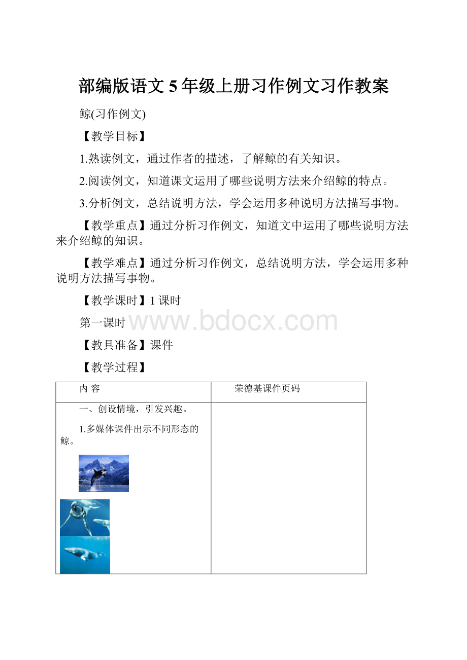 部编版语文5年级上册习作例文习作教案.docx_第1页