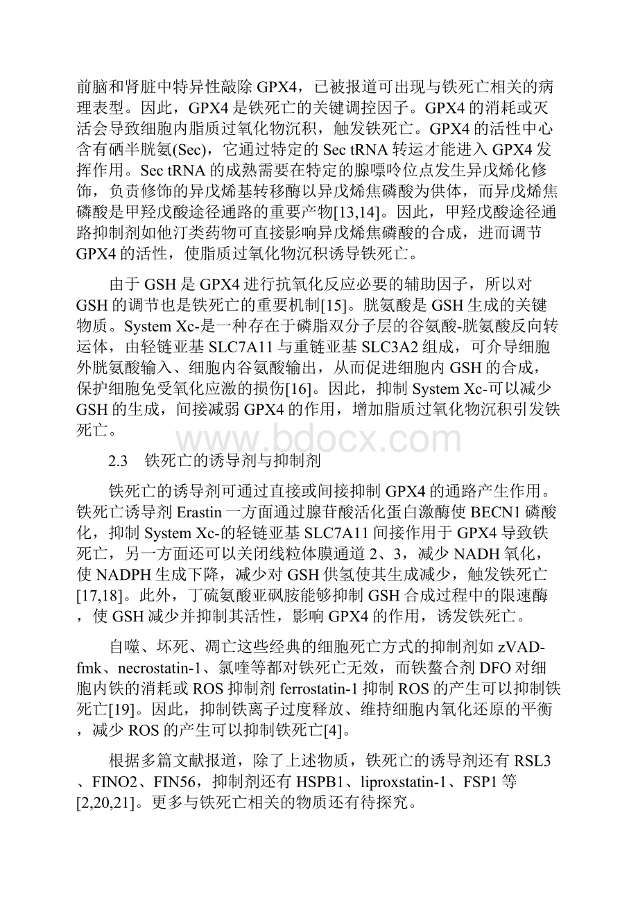 最新铁死亡在肺部疾病中的研究.docx_第3页