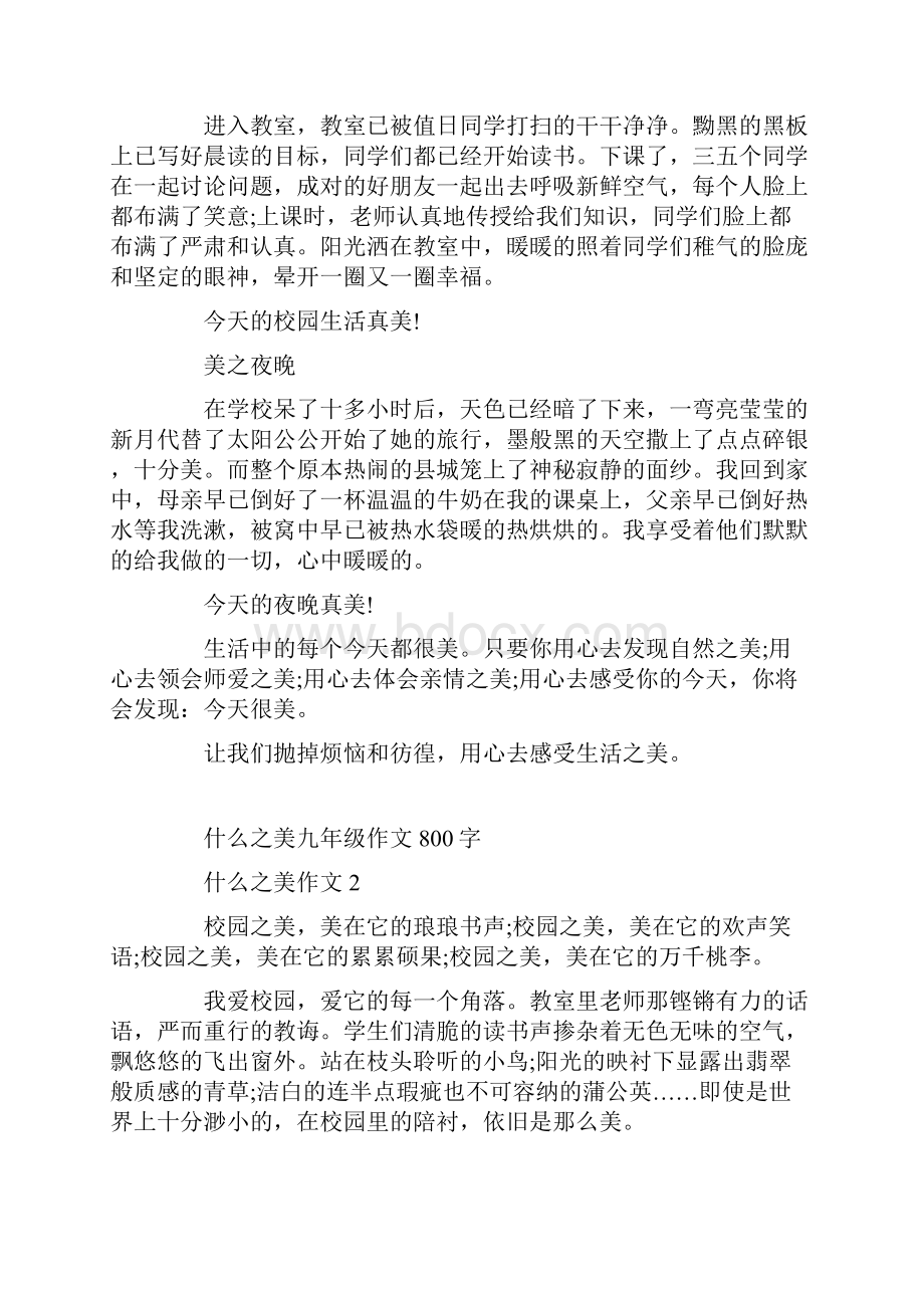 什么之美九年级作文800字.docx_第2页