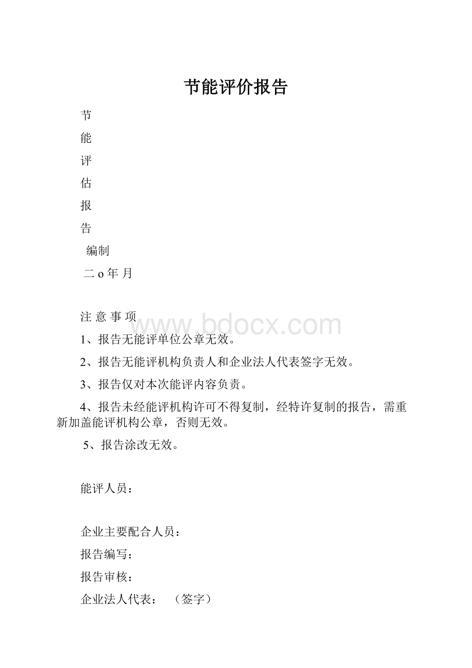 节能评价报告.docx