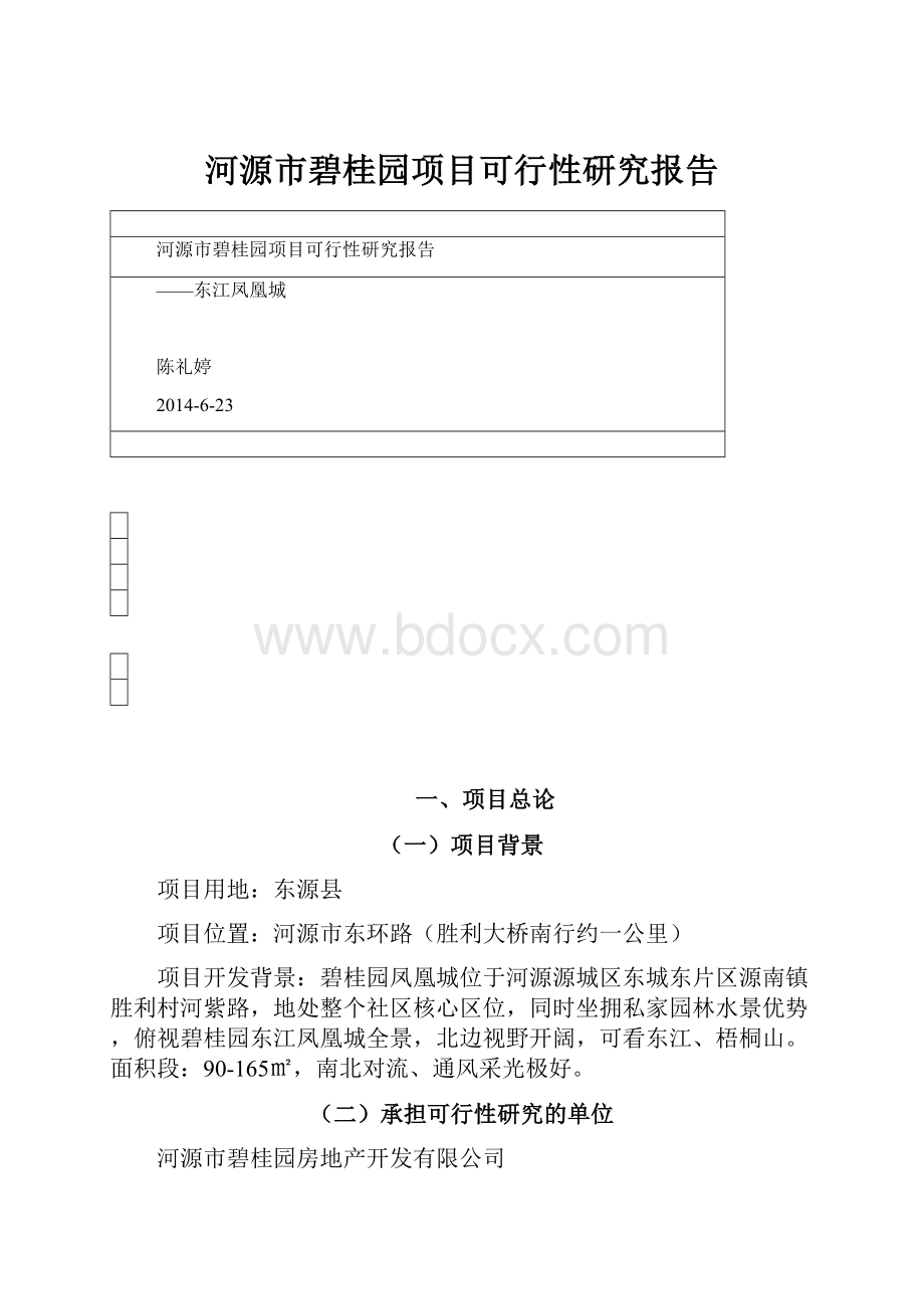 河源市碧桂园项目可行性研究报告.docx_第1页