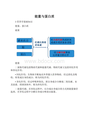 能量与蛋白质.docx