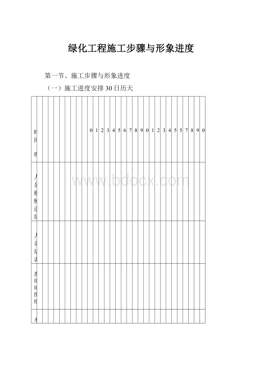 绿化工程施工步骤与形象进度.docx