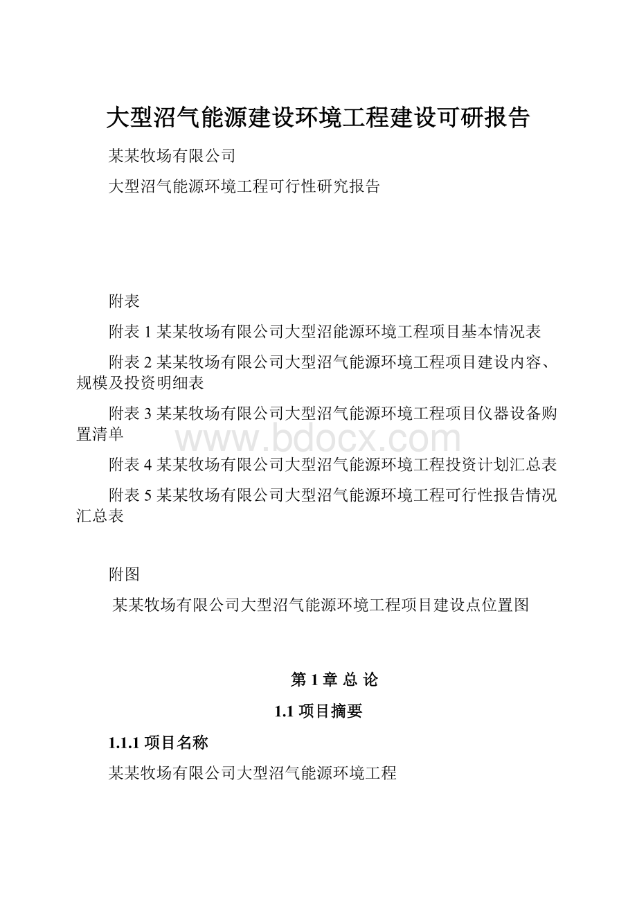 大型沼气能源建设环境工程建设可研报告.docx_第1页