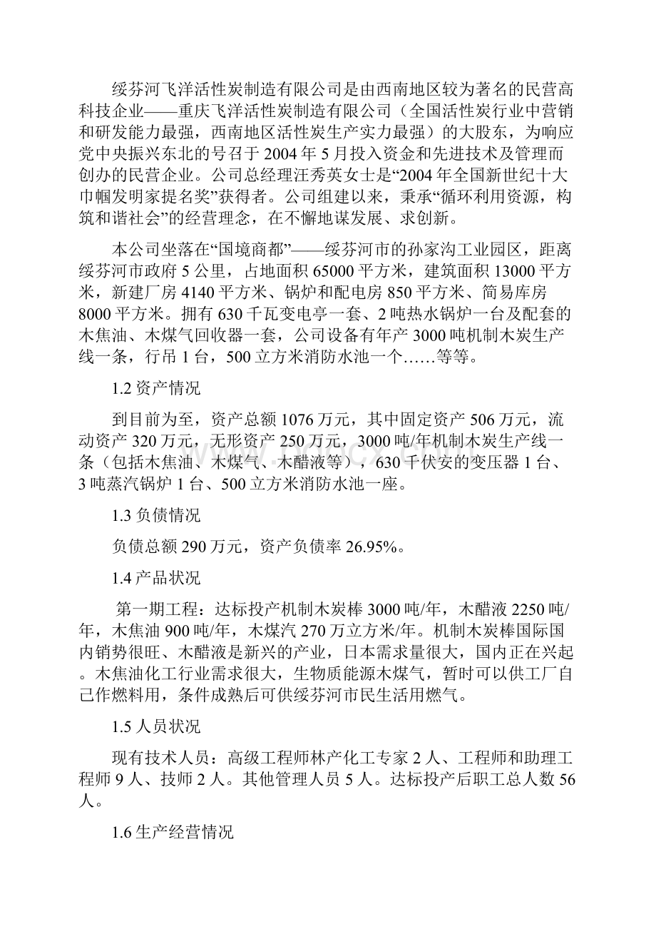 标准版技改项目可行性报告解析.docx_第2页