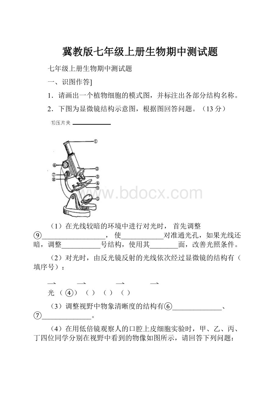 冀教版七年级上册生物期中测试题.docx