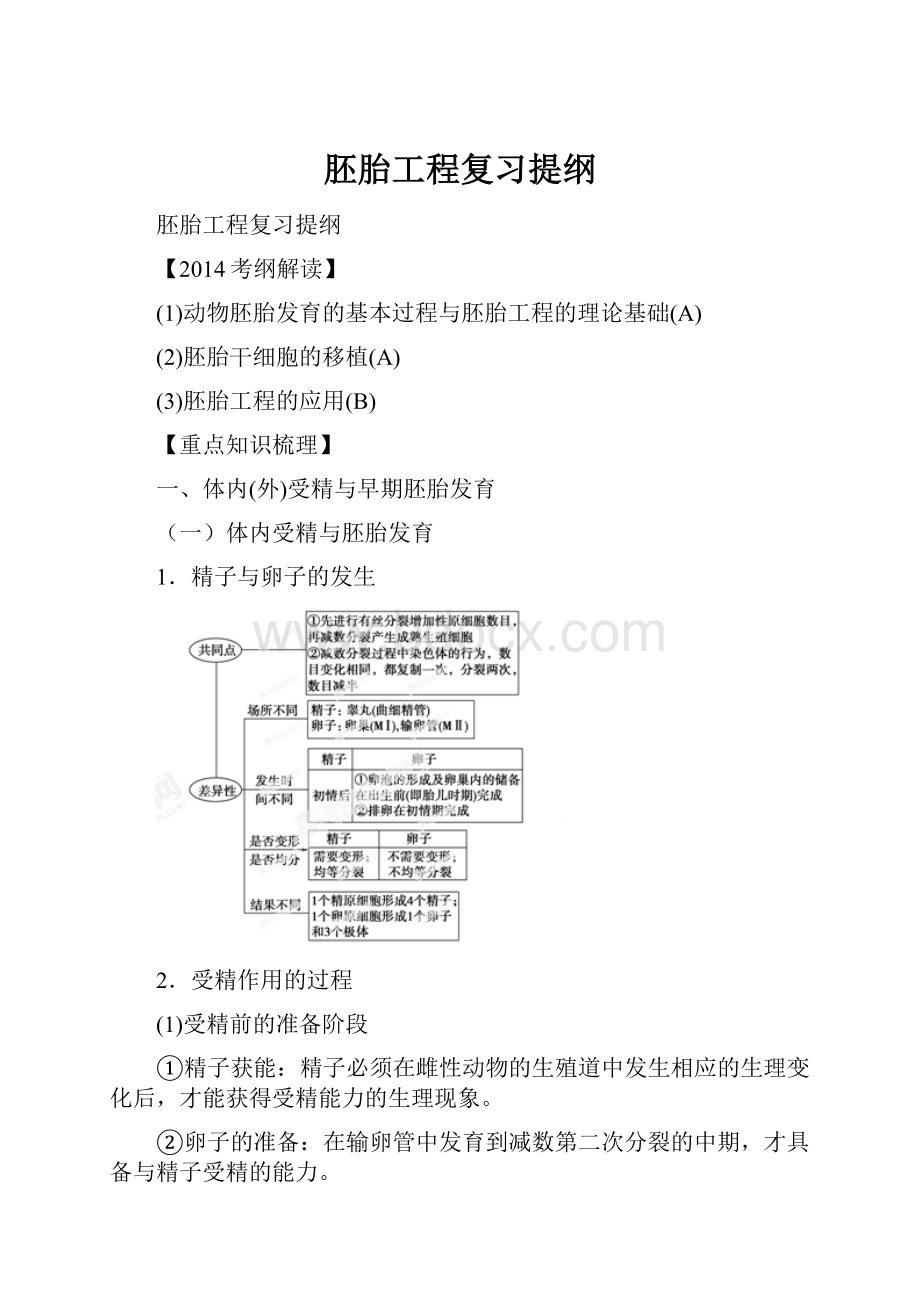 胚胎工程复习提纲.docx