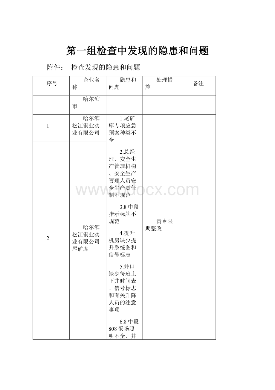 第一组检查中发现的隐患和问题.docx