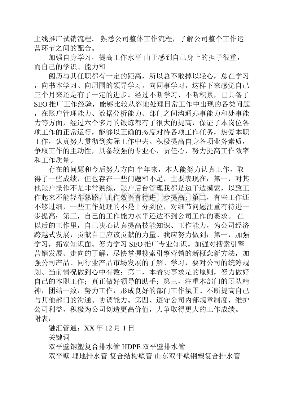 网络推广述职报告.docx_第3页