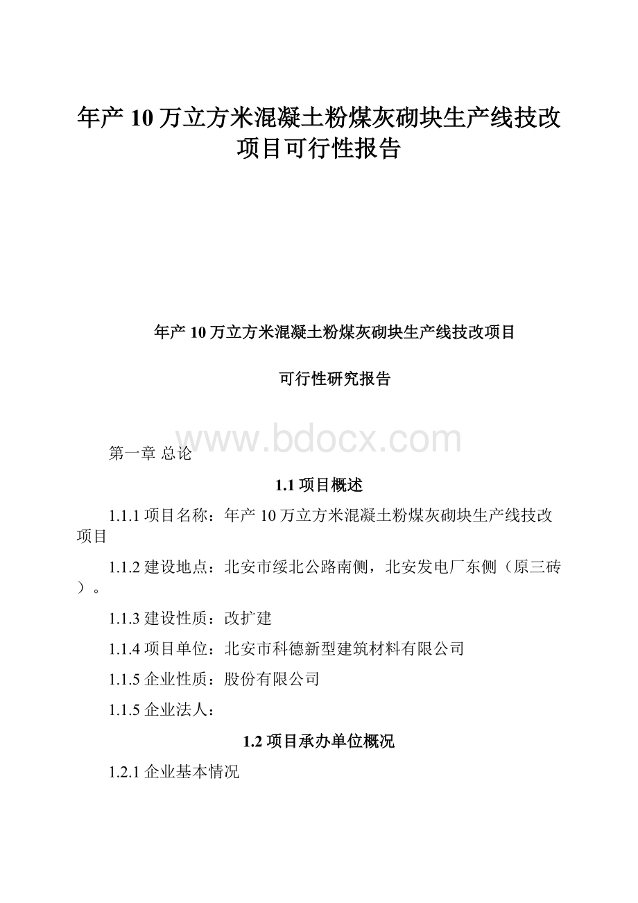 年产10万立方米混凝土粉煤灰砌块生产线技改项目可行性报告.docx_第1页