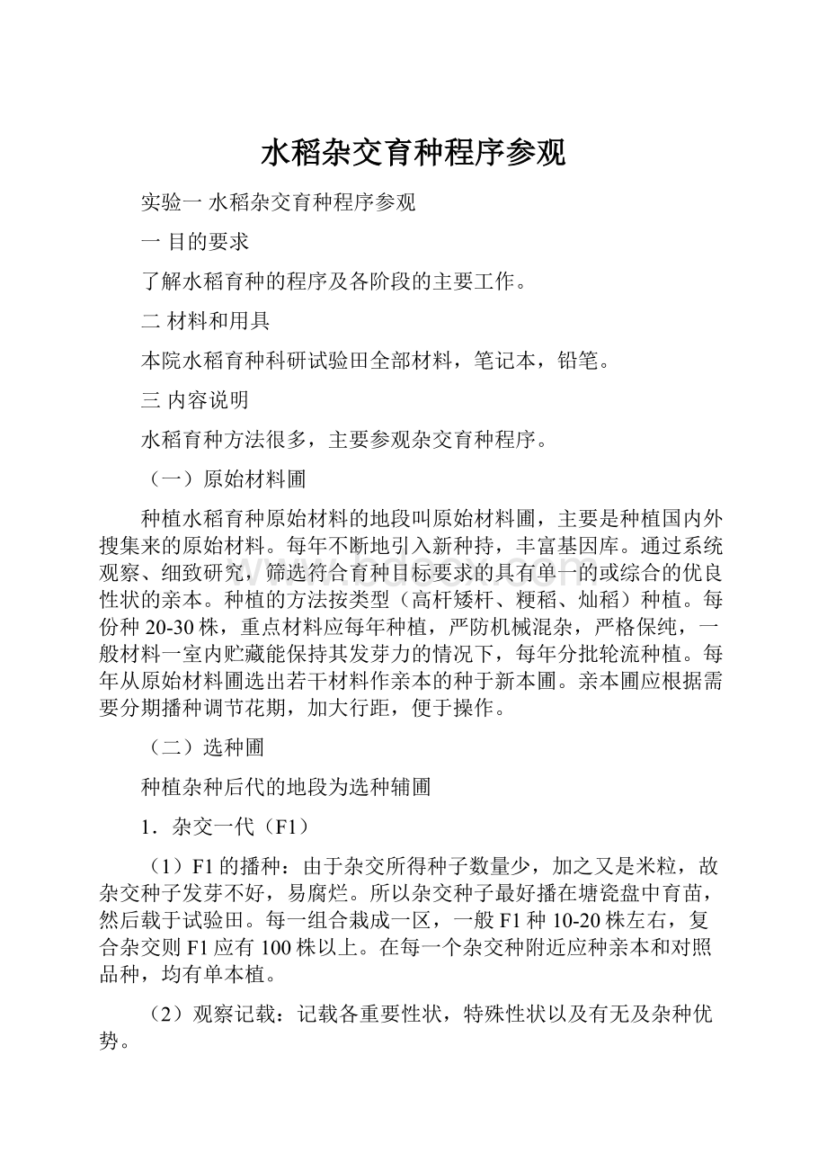 水稻杂交育种程序参观.docx