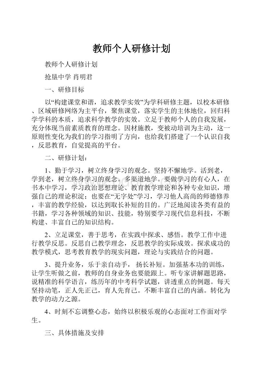 教师个人研修计划.docx