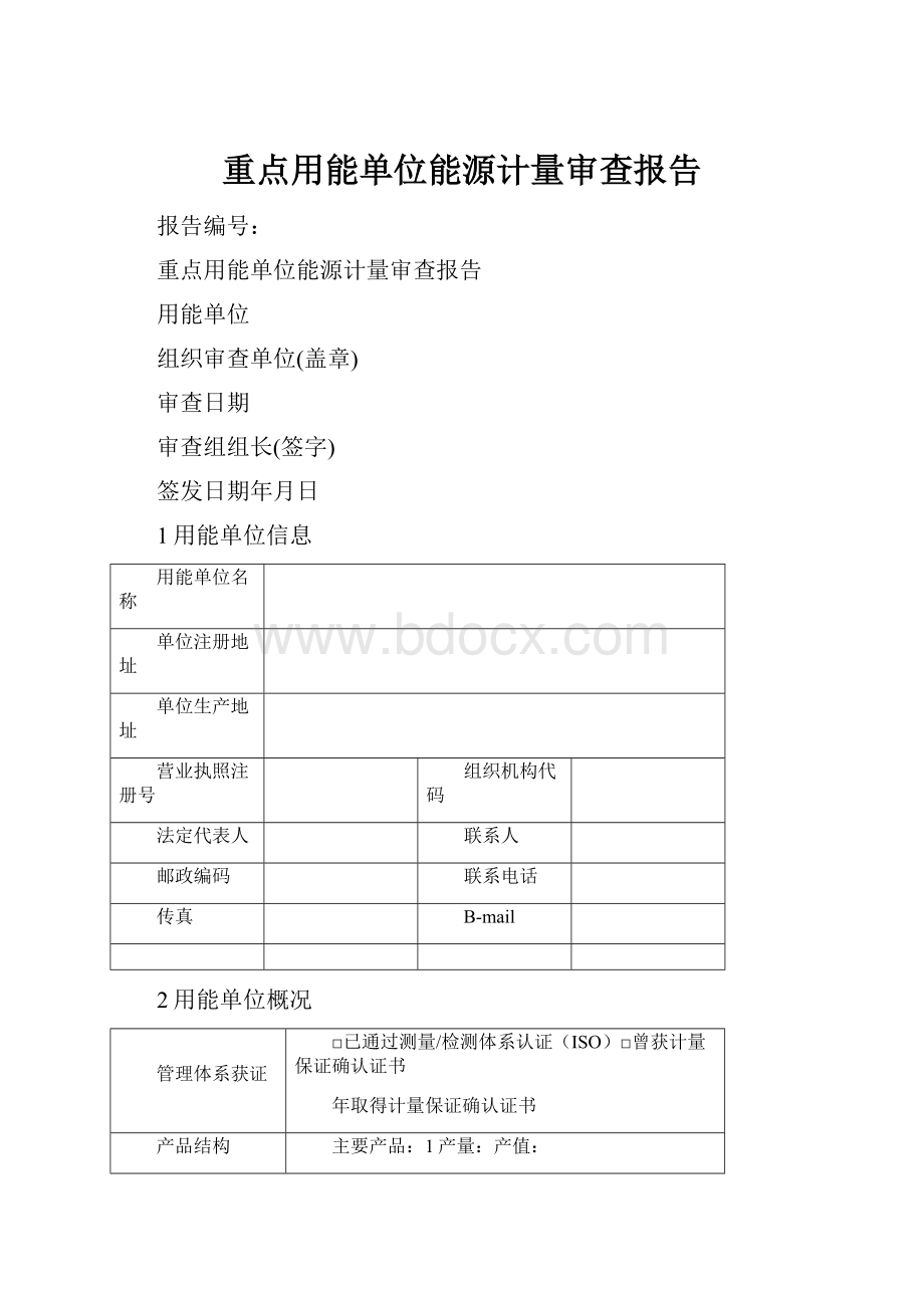 重点用能单位能源计量审查报告.docx