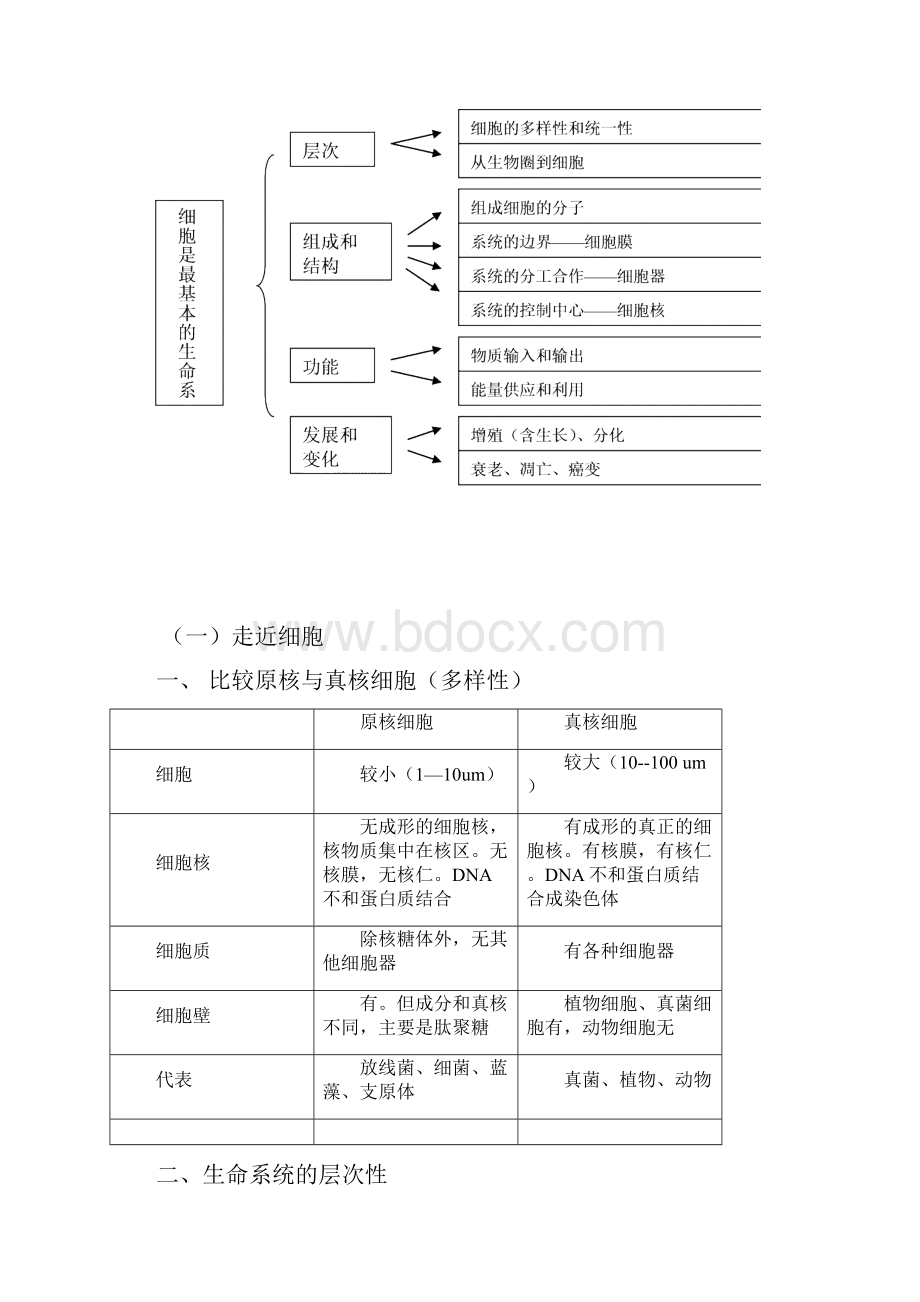 高中生物必修一教案.docx_第2页