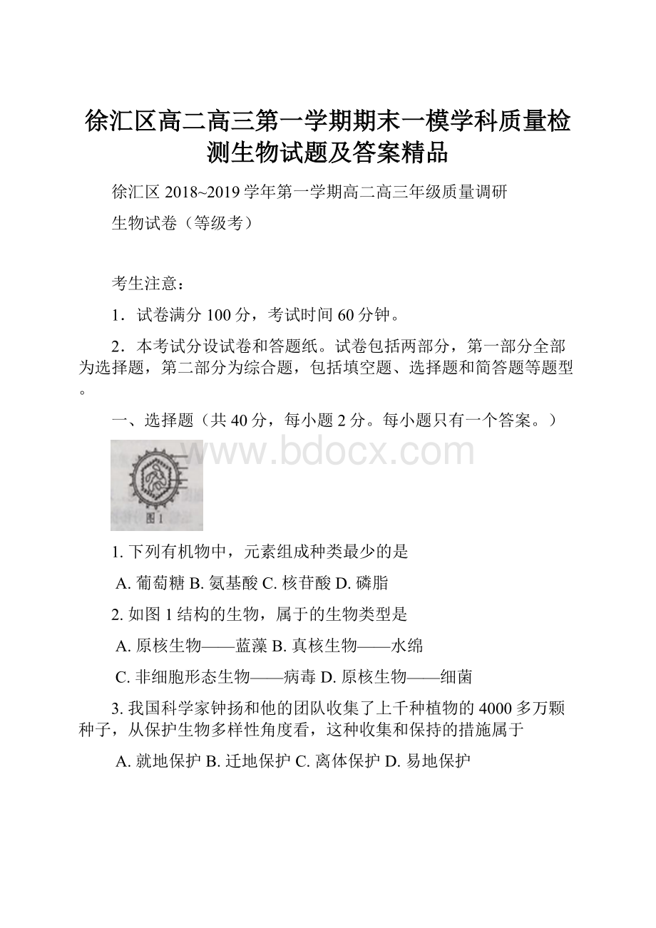 徐汇区高二高三第一学期期末一模学科质量检测生物试题及答案精品.docx_第1页