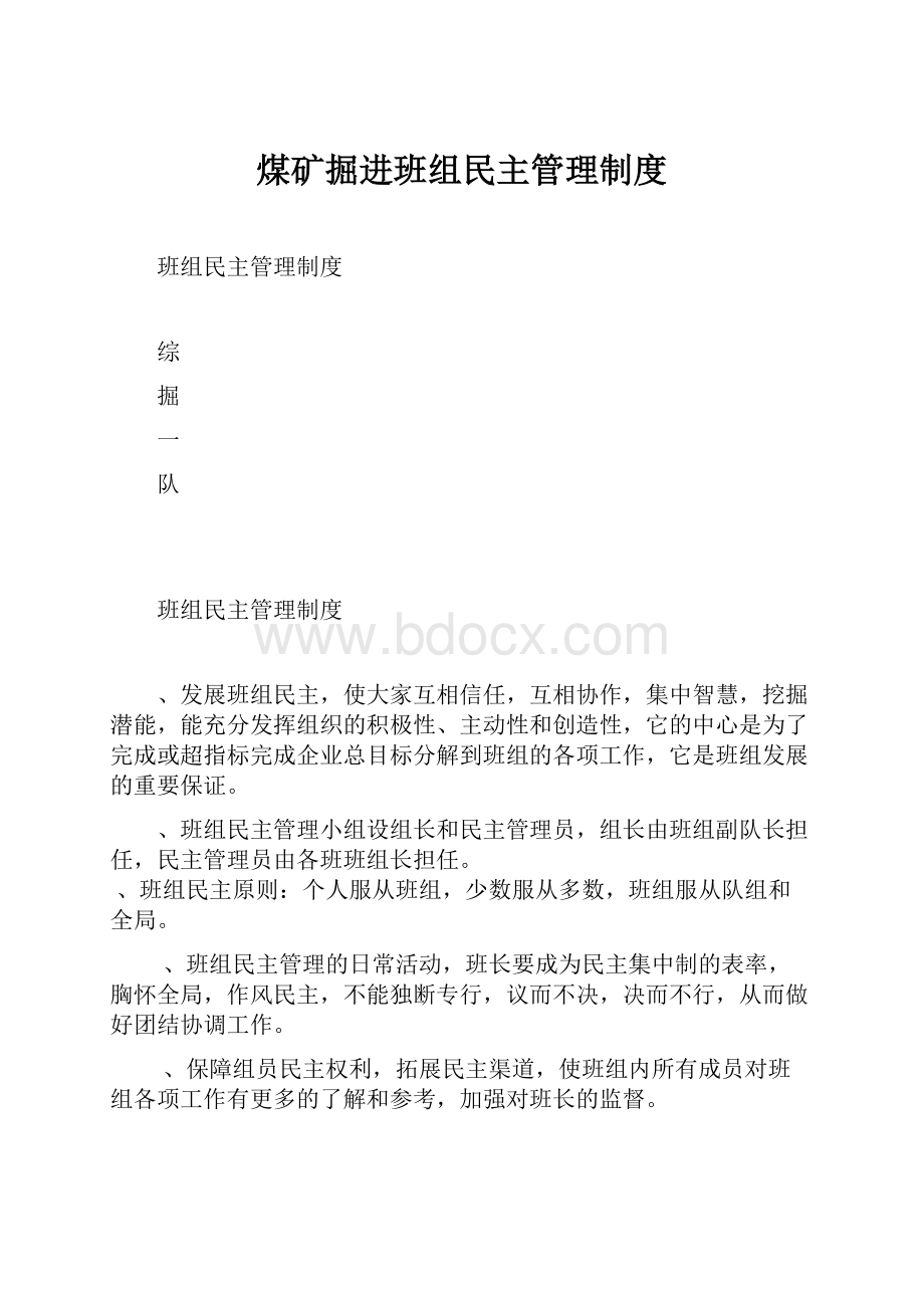 煤矿掘进班组民主管理制度.docx