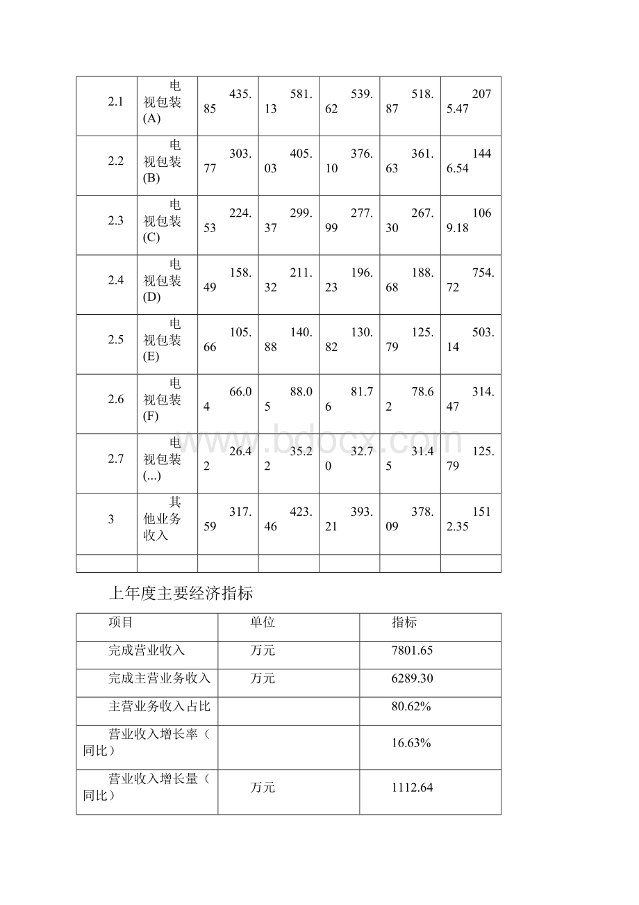 电视包装项目立项申请报告模板可编辑.docx_第3页