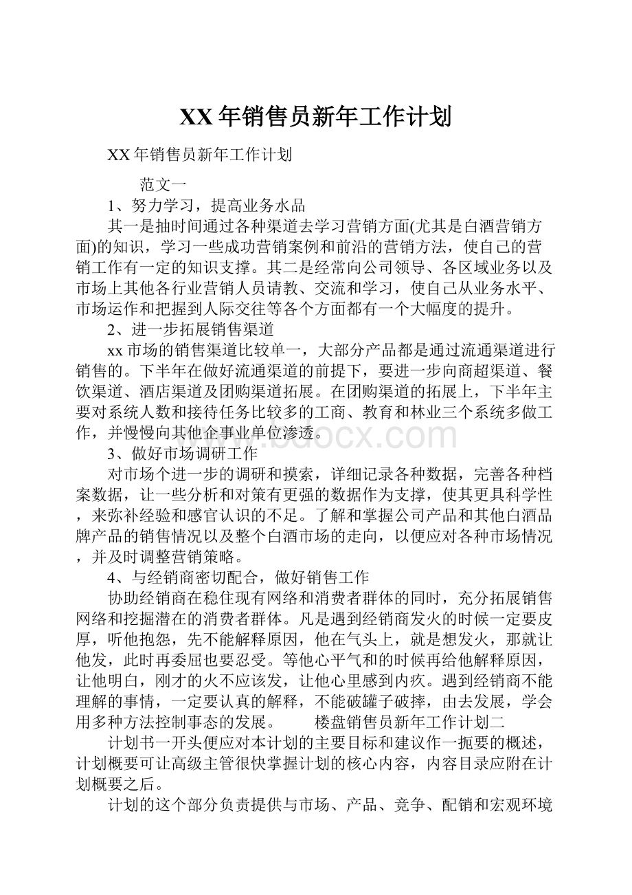 XX年销售员新年工作计划.docx