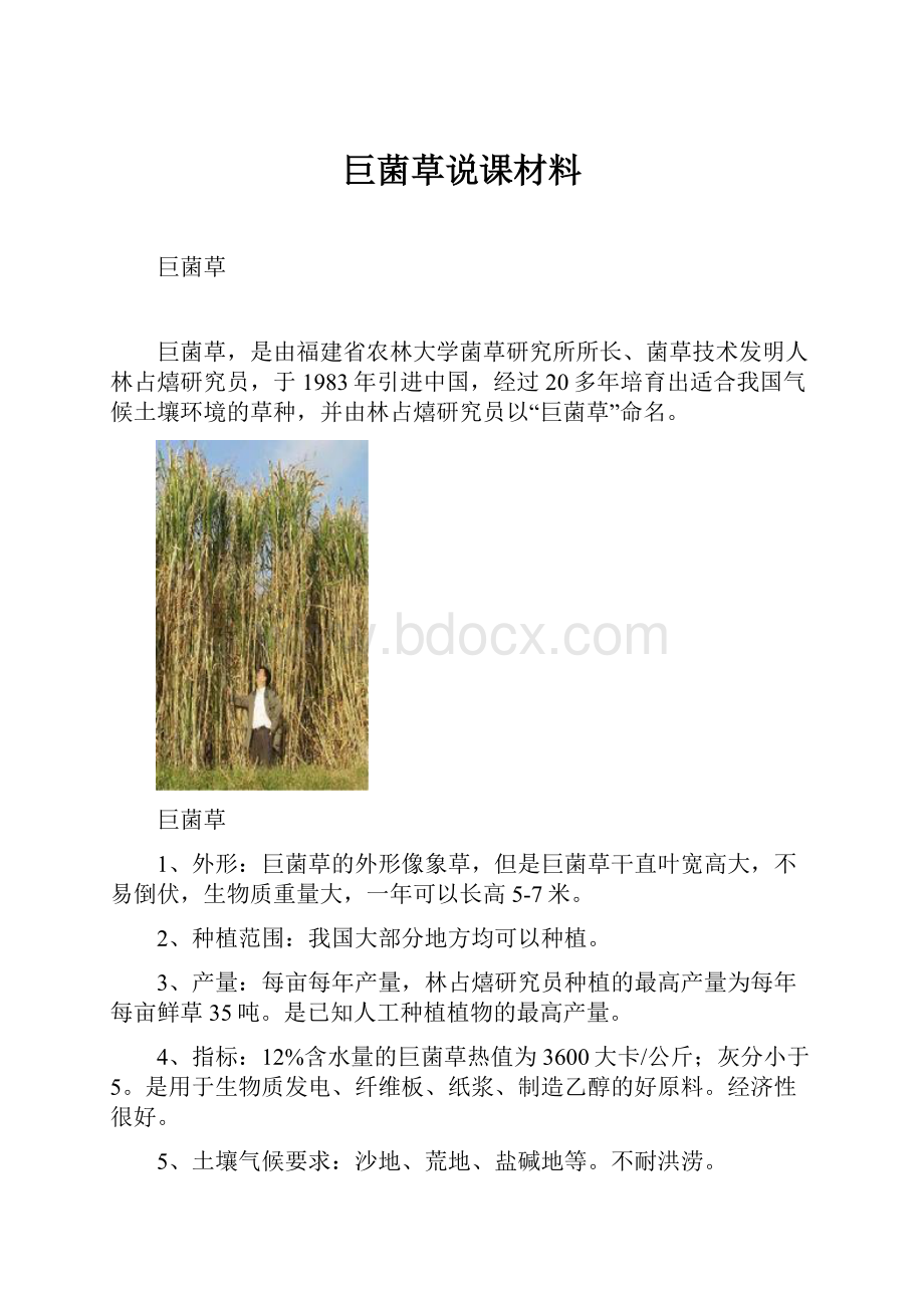 巨菌草说课材料.docx