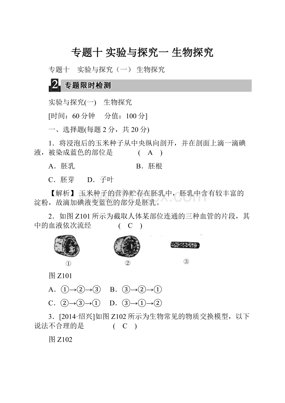 专题十 实验与探究一生物探究.docx