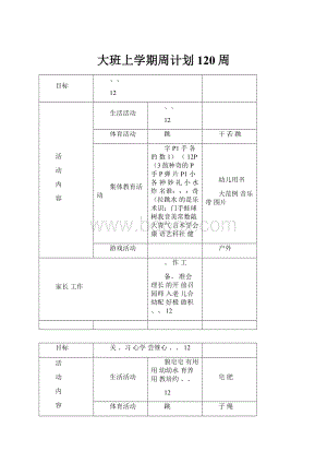 大班上学期周计划120周.docx