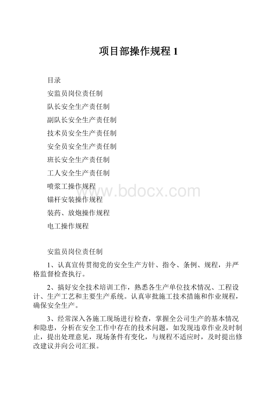 项目部操作规程1.docx_第1页