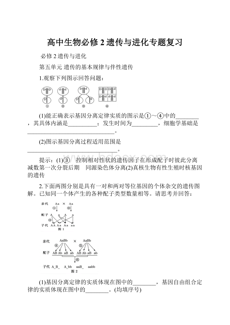 高中生物必修2遗传与进化专题复习.docx