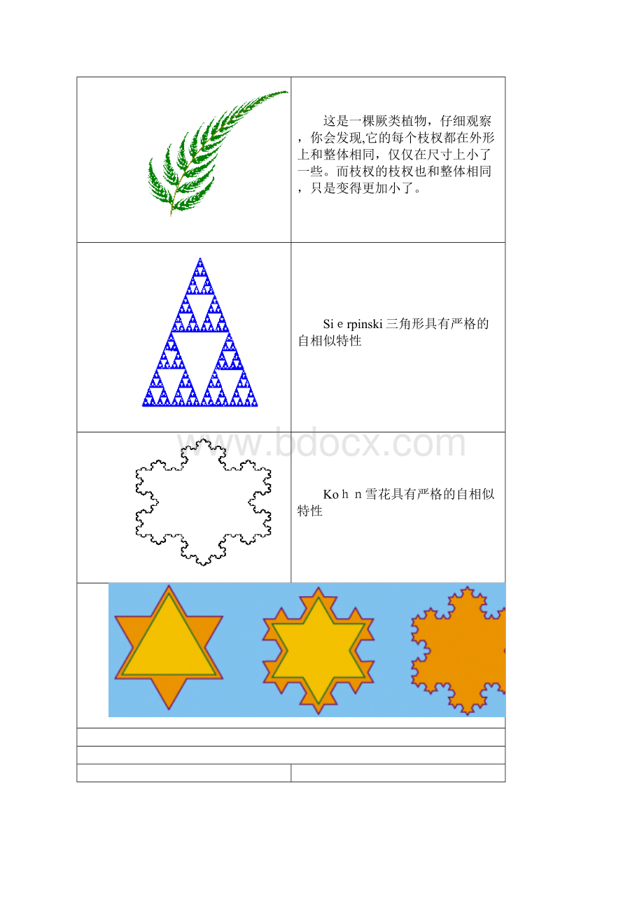 各种有趣的分形.docx_第2页