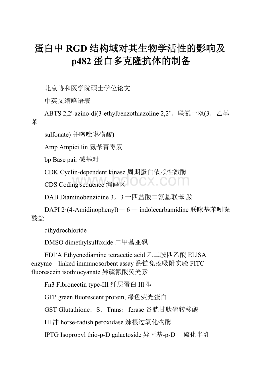 蛋白中RGD结构域对其生物学活性的影响及p482蛋白多克隆抗体的制备.docx_第1页