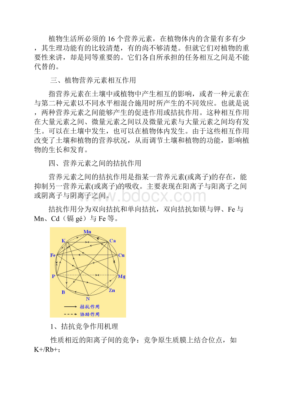 植物营养元素的拮抗和协同.docx_第3页