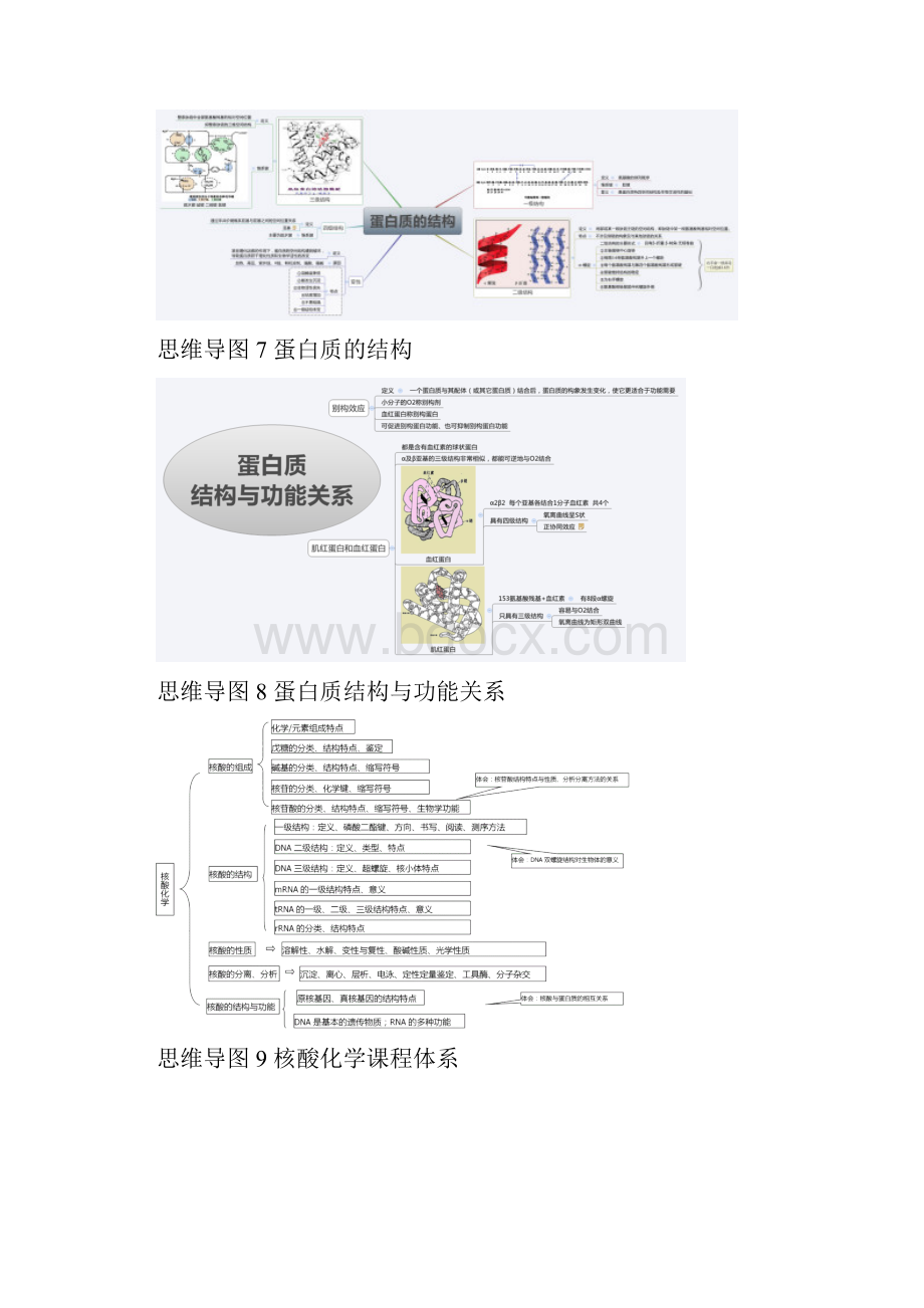 完整版生物化学思维导图.docx_第3页