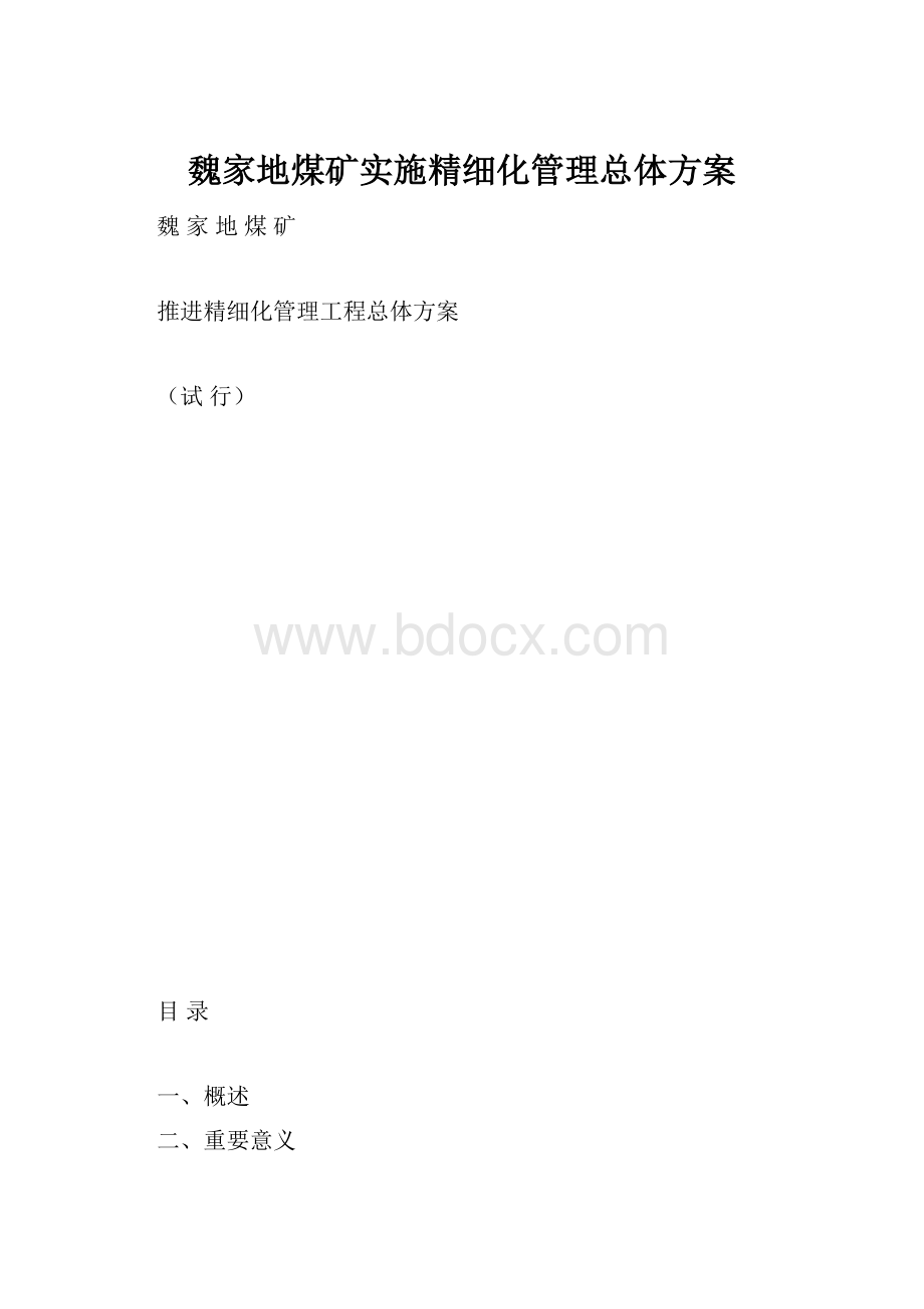 魏家地煤矿实施精细化管理总体方案.docx