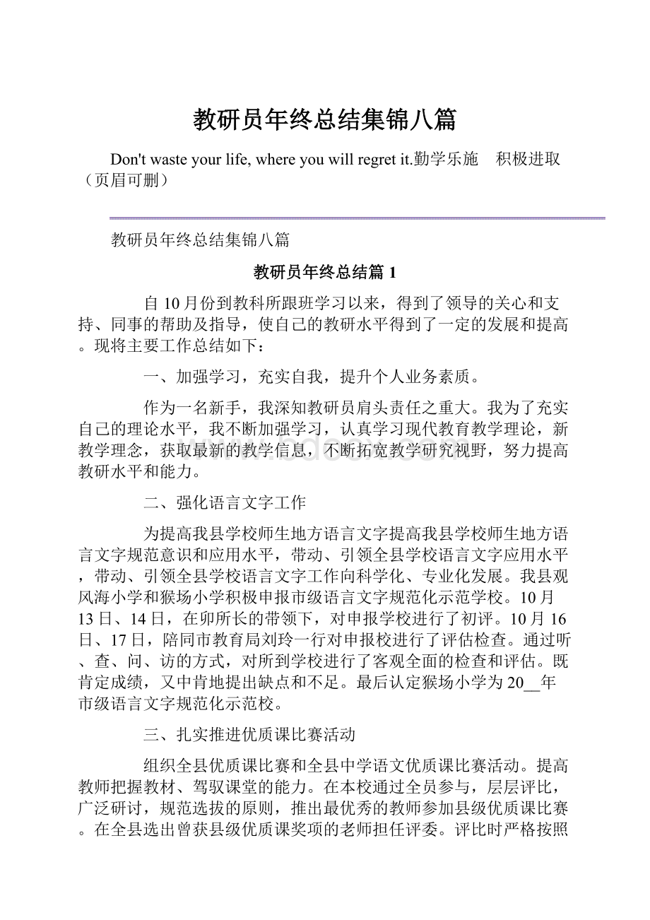 教研员年终总结集锦八篇.docx