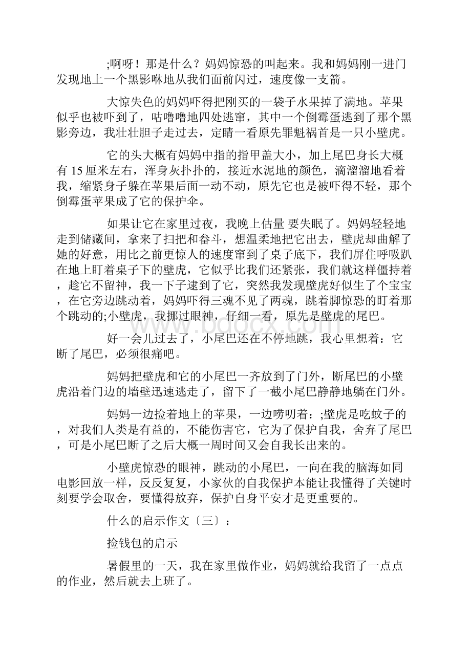 什么的启示作文精选15篇.docx_第2页