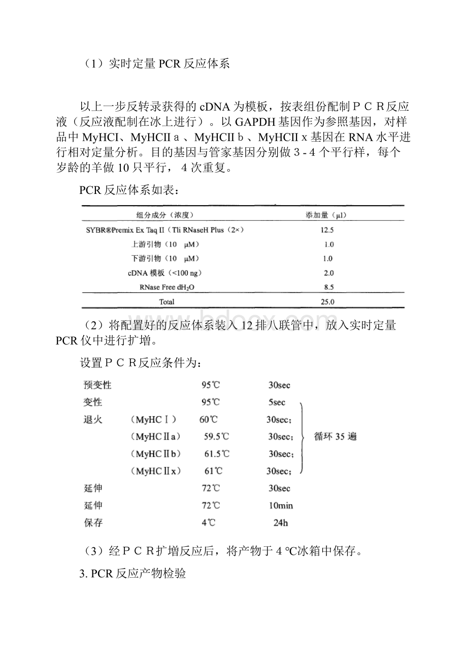 荧光定量PCR.docx_第3页