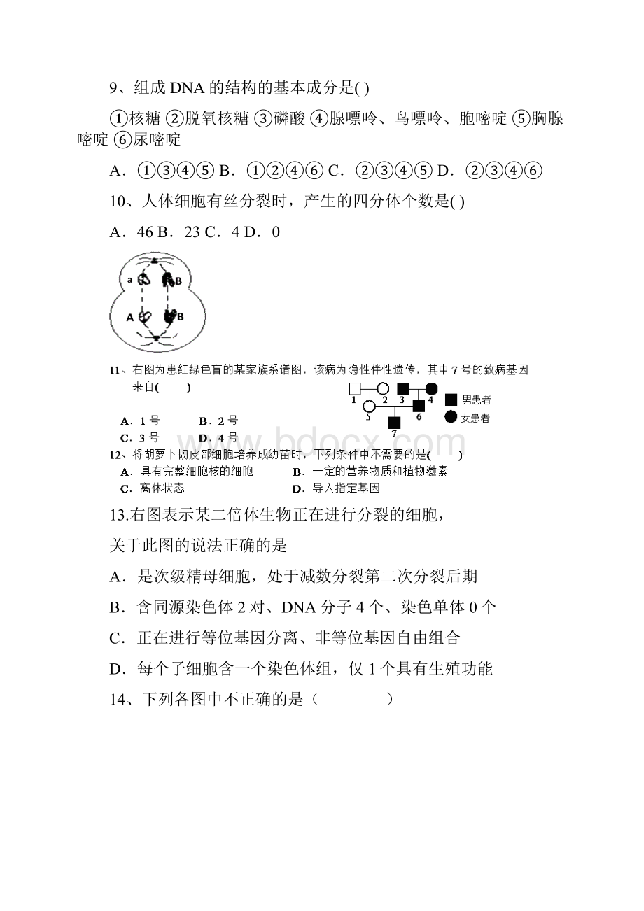 河南省武陟县第一中学东区学年高二月考生物试题 Word版含答案.docx_第3页