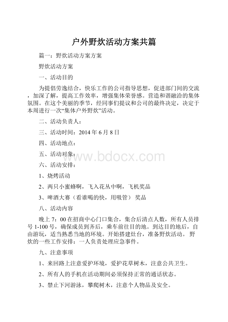 户外野炊活动方案共篇.docx