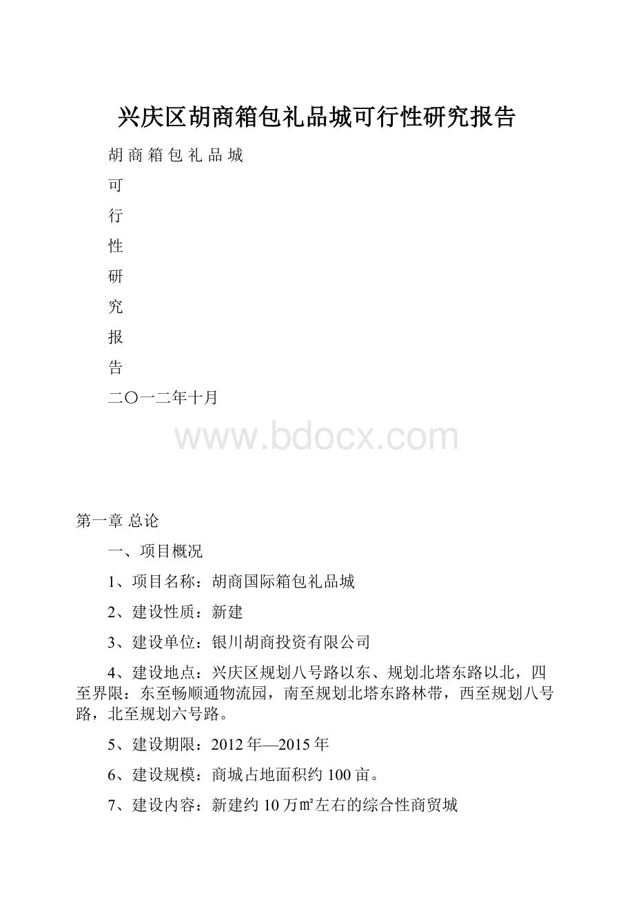 兴庆区胡商箱包礼品城可行性研究报告.docx_第1页