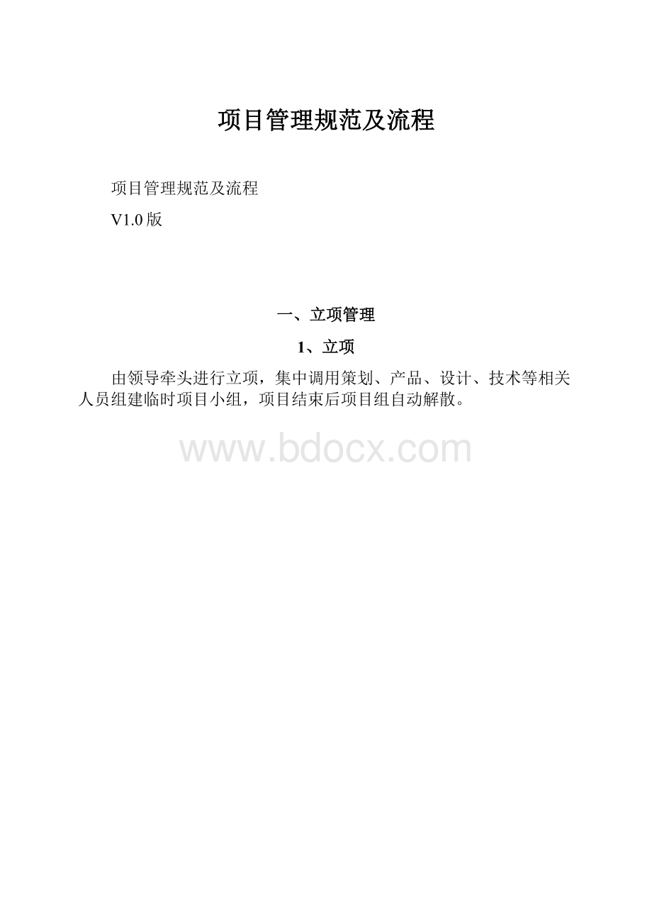 项目管理规范及流程.docx_第1页