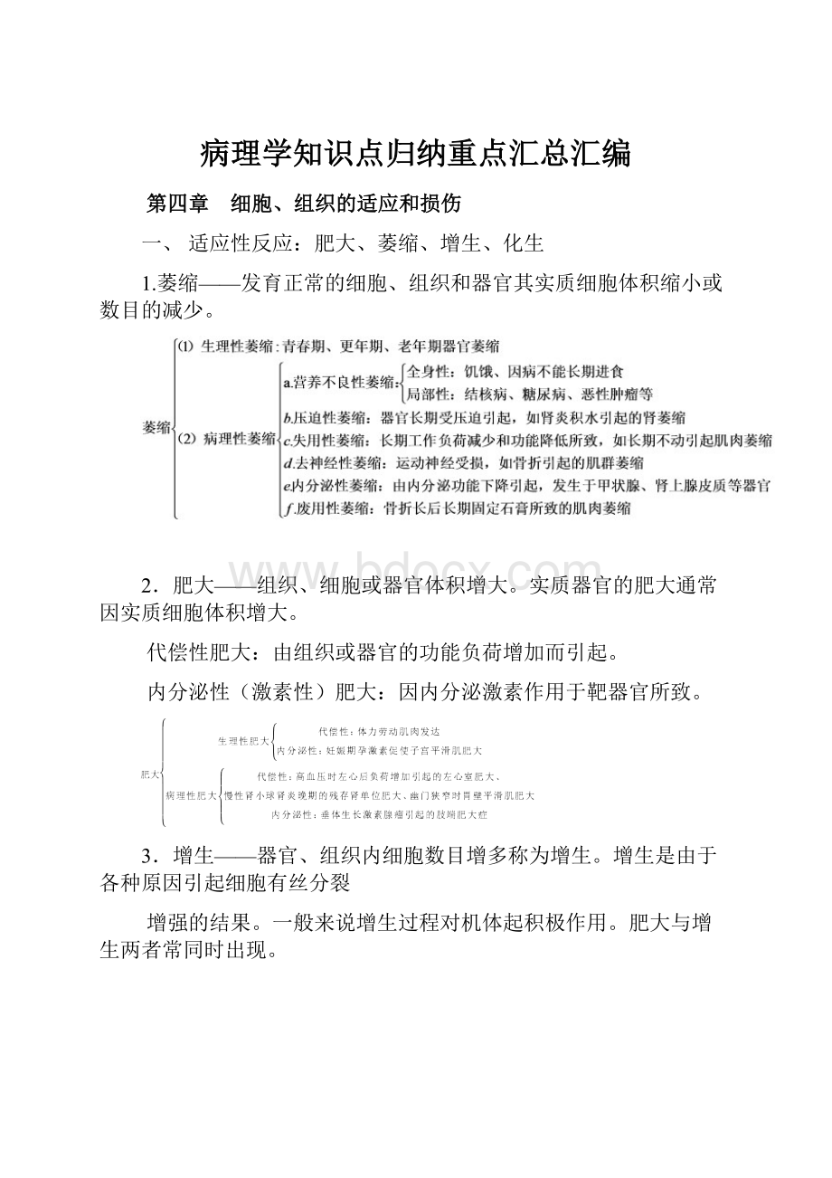 病理学知识点归纳重点汇总汇编.docx