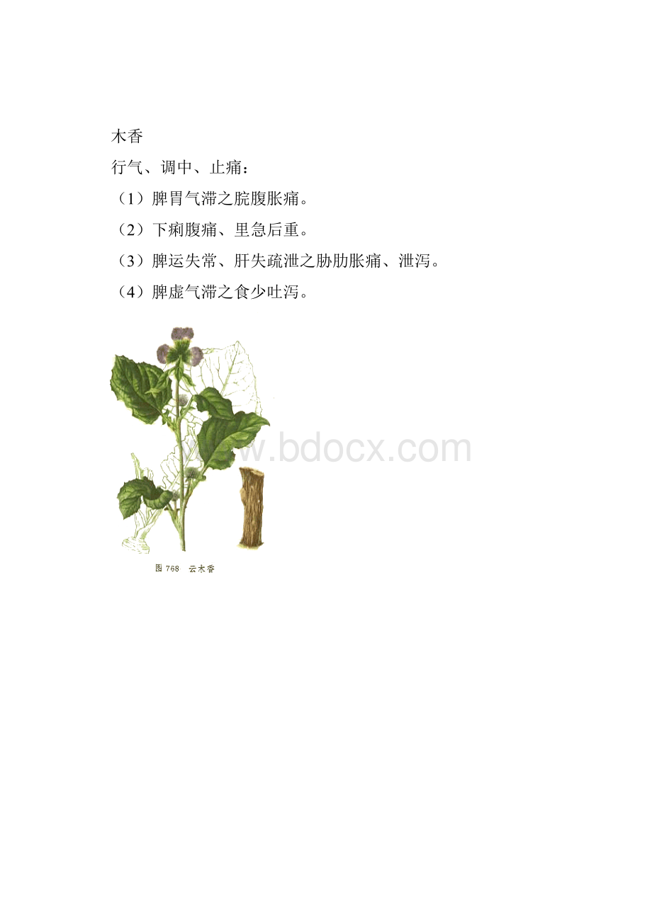 第十二单元中药学 理气药.docx_第3页