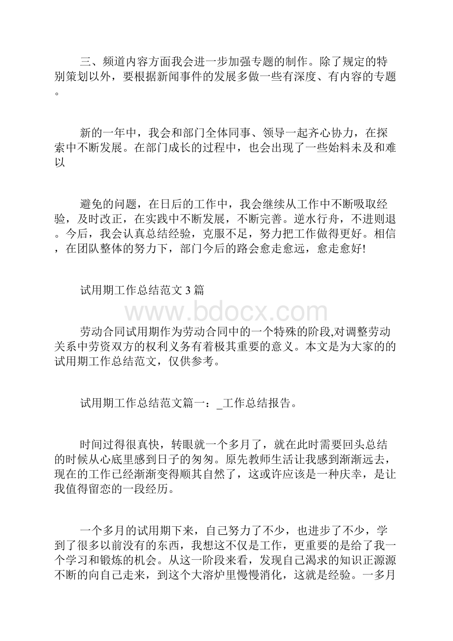 编辑工作总结报告.docx_第3页