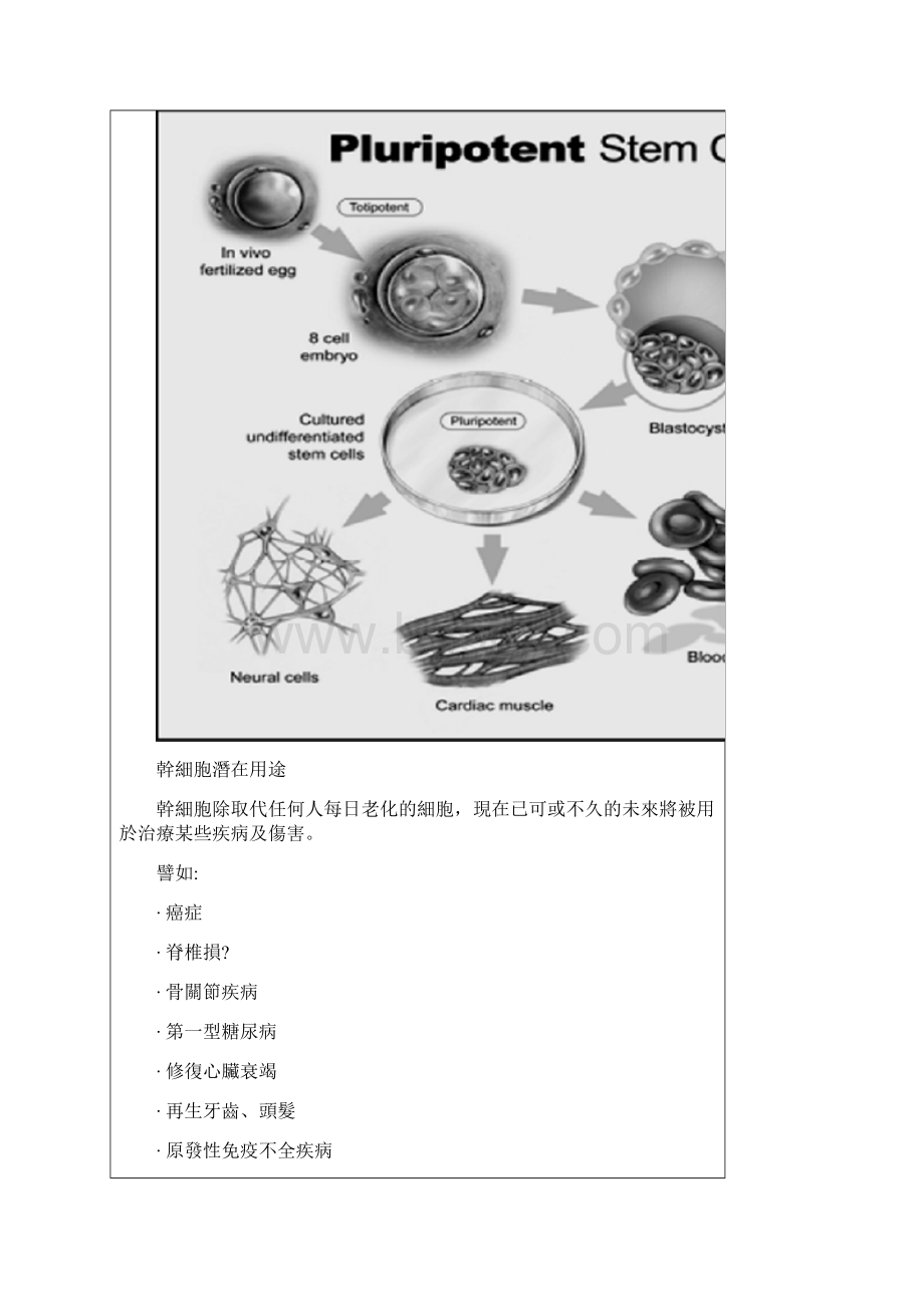 干细胞醣质营养素.docx_第3页