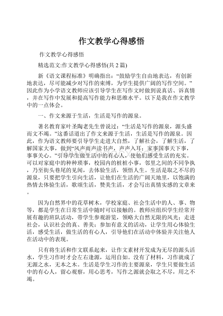 作文教学心得感悟.docx_第1页