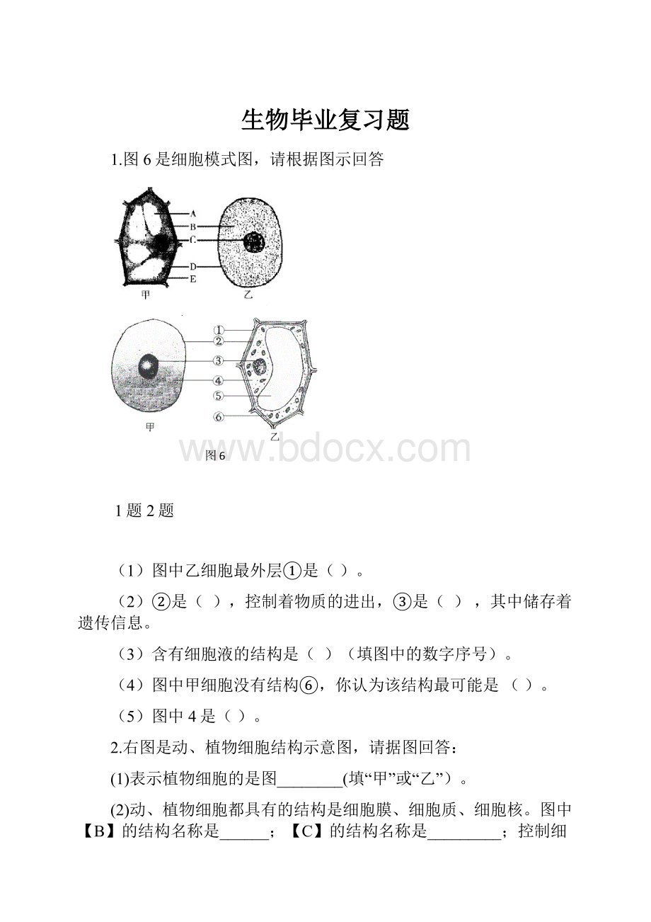 生物毕业复习题.docx